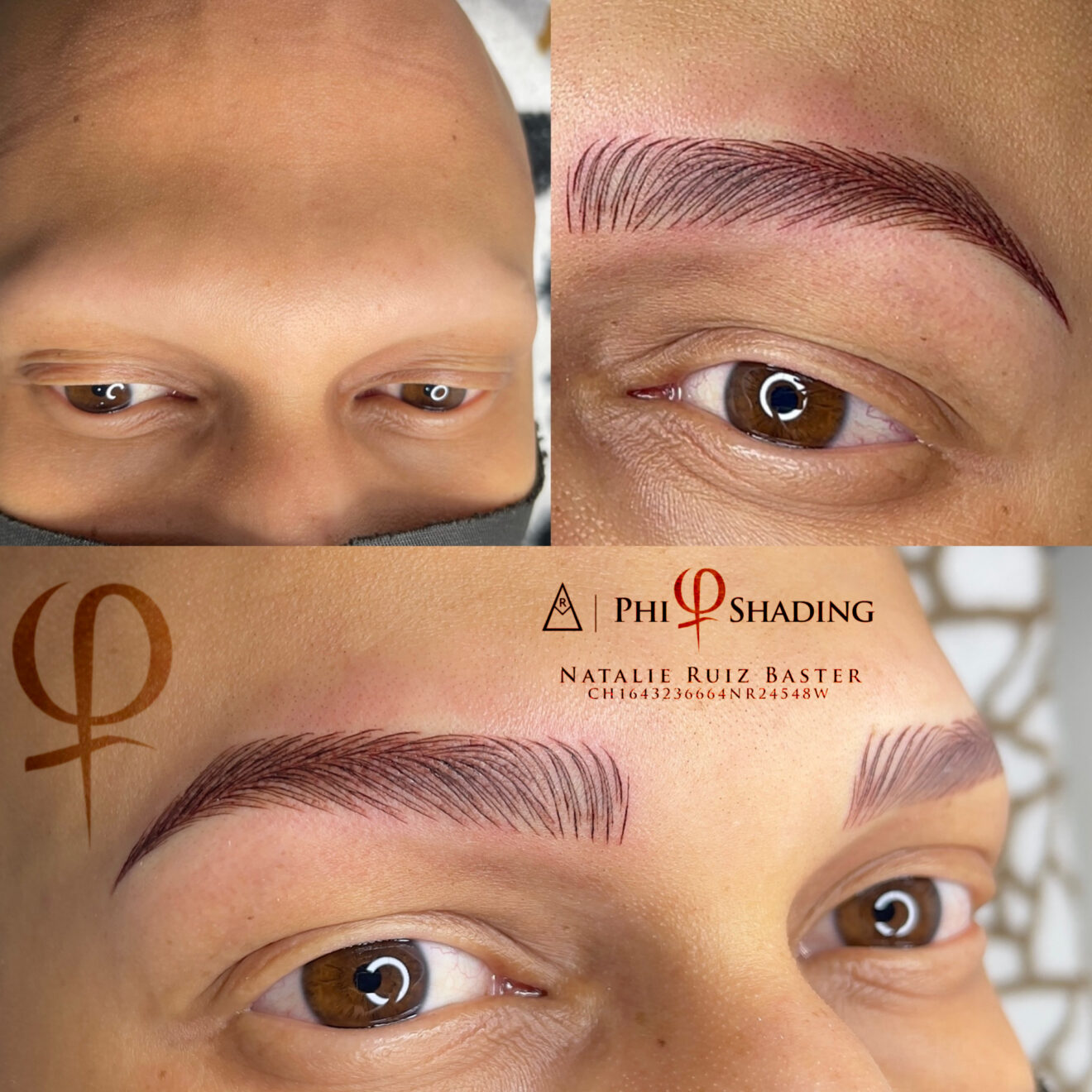 65315B2F-6ADF-49F7-A13C-447C542CB4CF ComboBrows